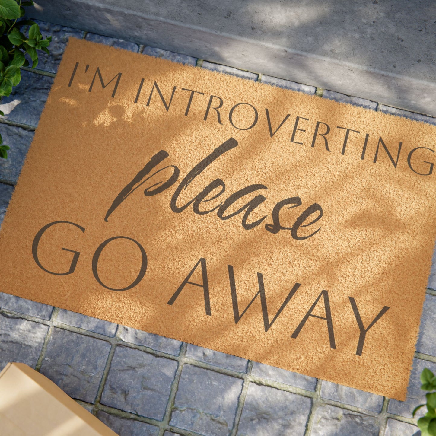 I'm Introverting Doormat