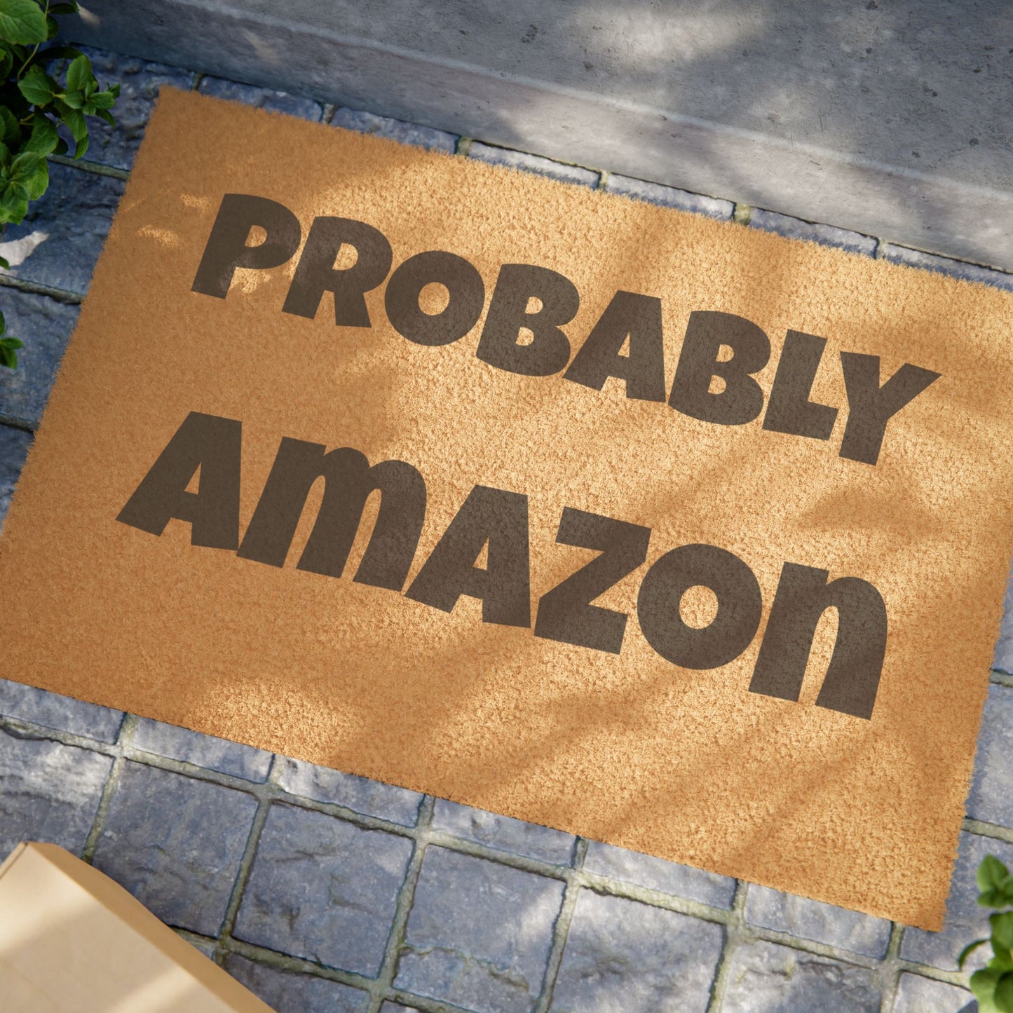 Probably Amazon Doormat